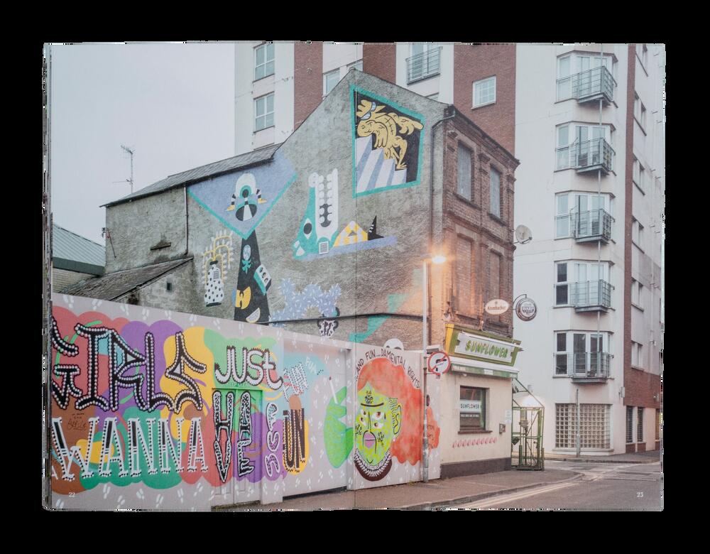 Image from page “Belfast Diary”