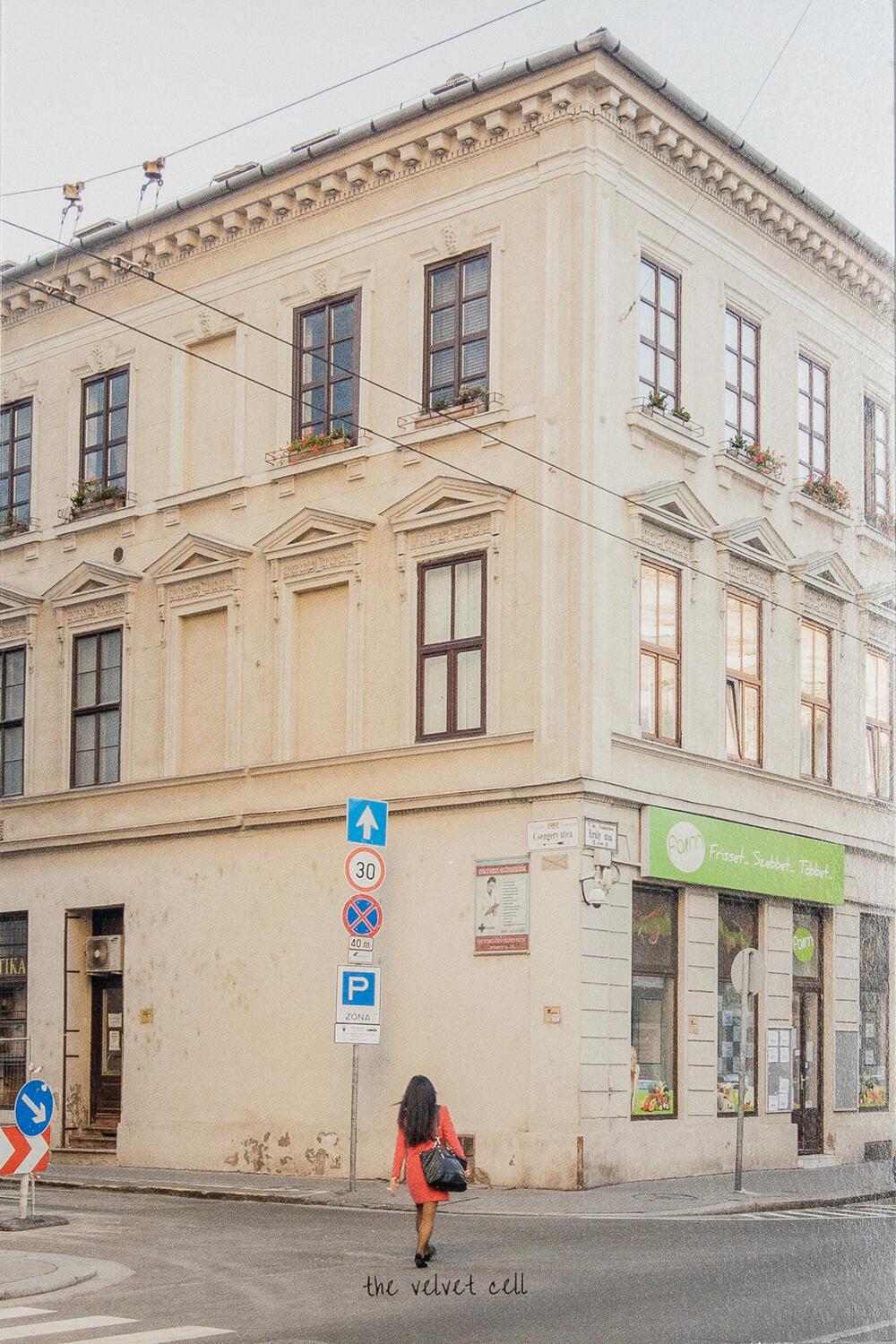 Image from page “Budapest Diary”