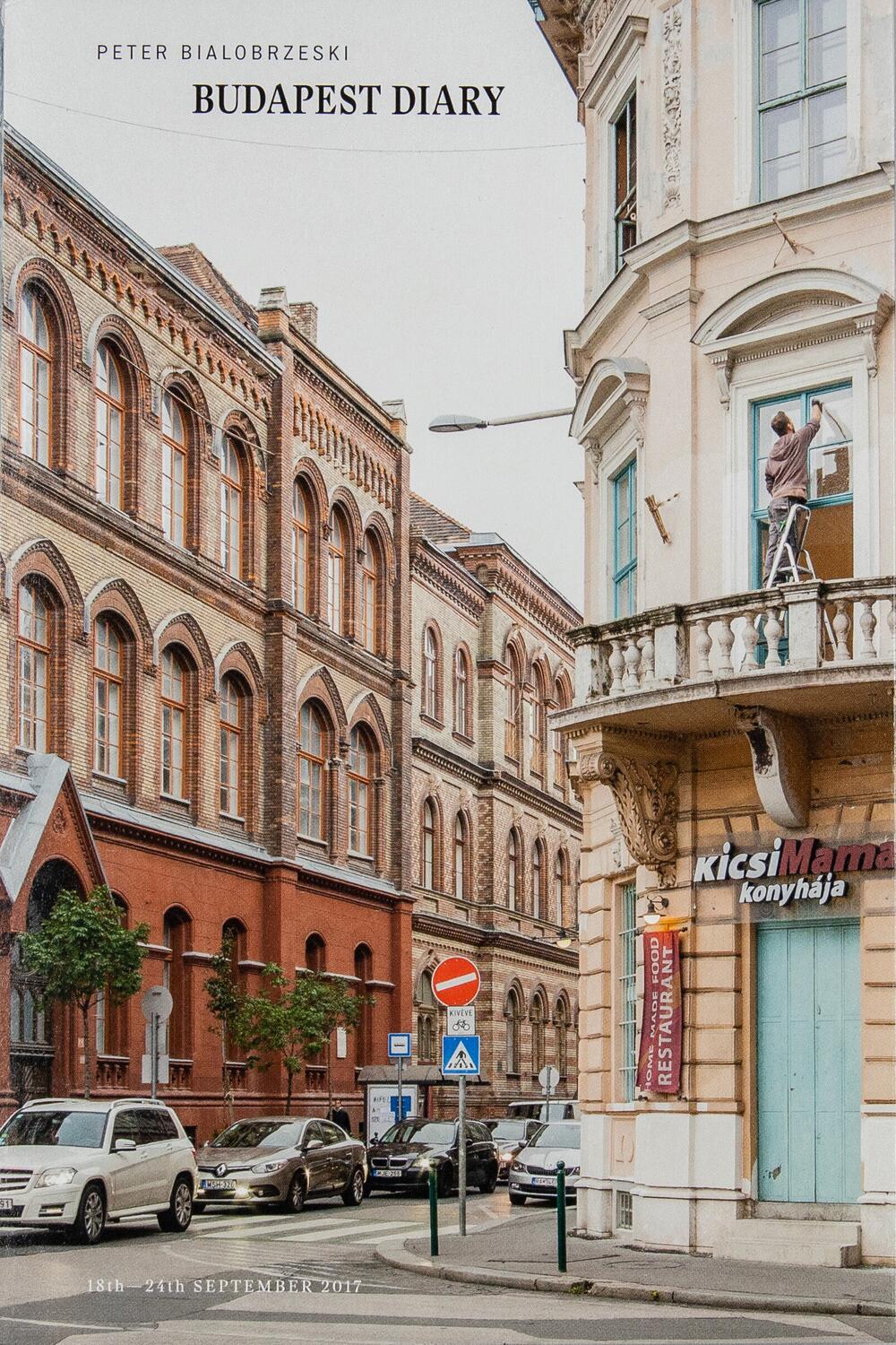 Image from page “Budapest Diary”