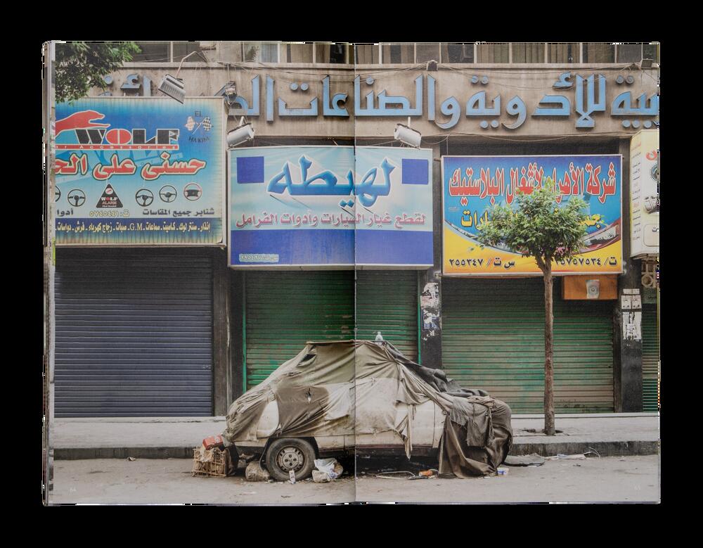 Image from page “Cairo Diary”