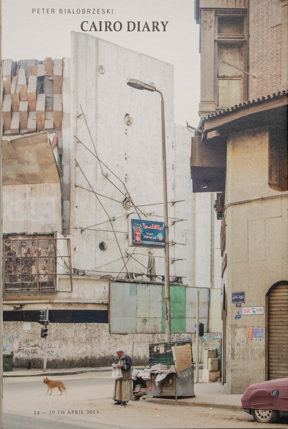 Image from page “Cairo Diary”