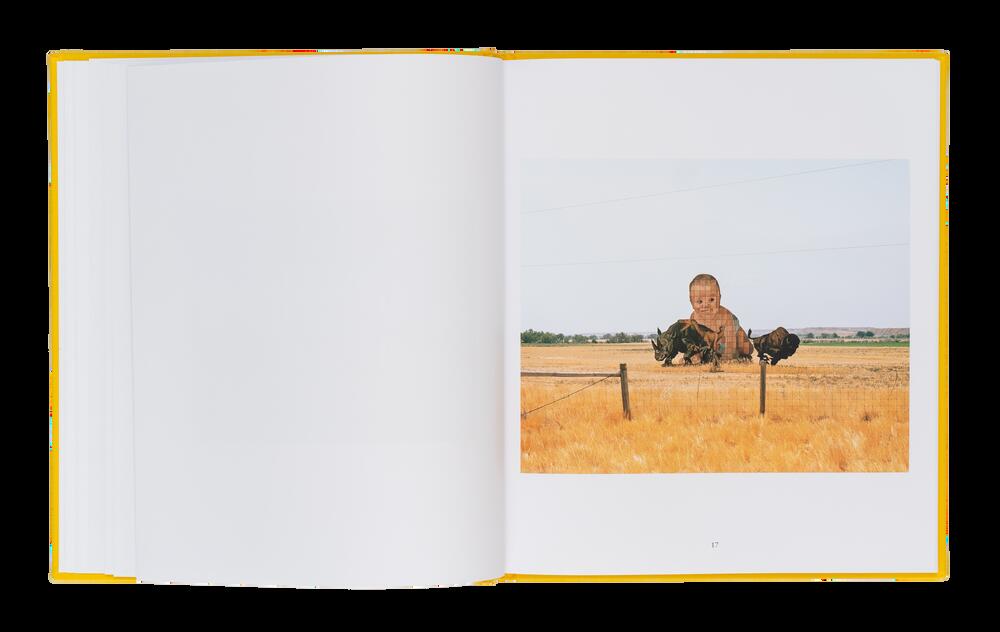 Image from page “Crown Ditch & The Prairie Castle”