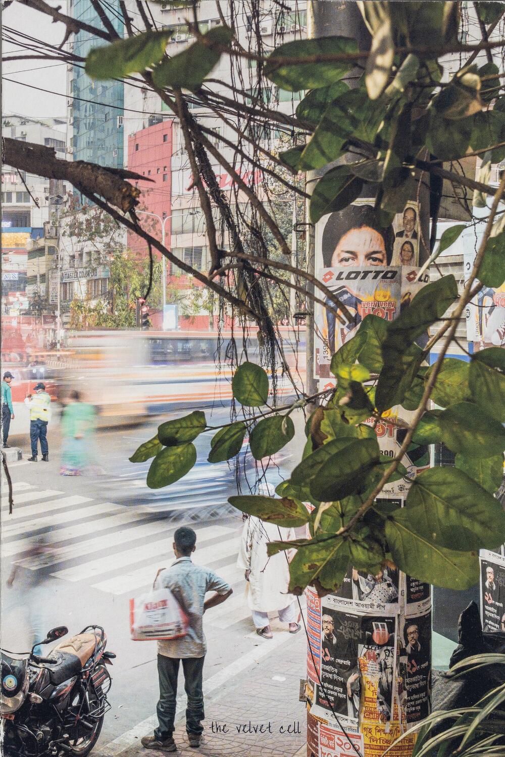 Image from page “Dhaka Diary”