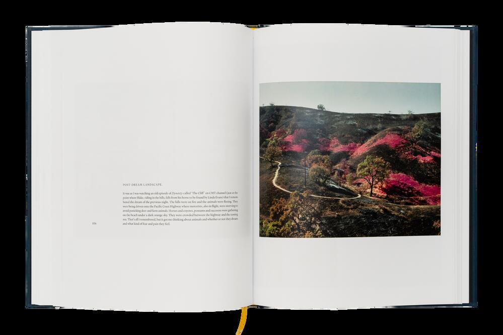 Image from page “Ecology of Dreams”