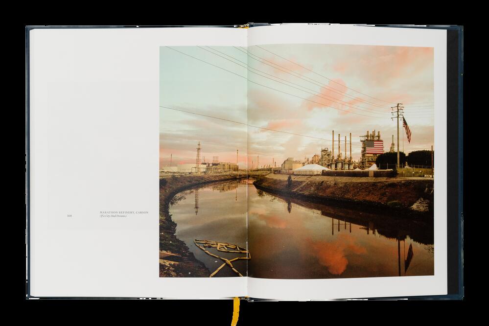 Image from page “Ecology of Dreams”