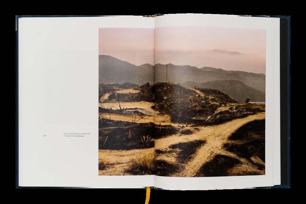 Image from page “Ecology of Dreams”