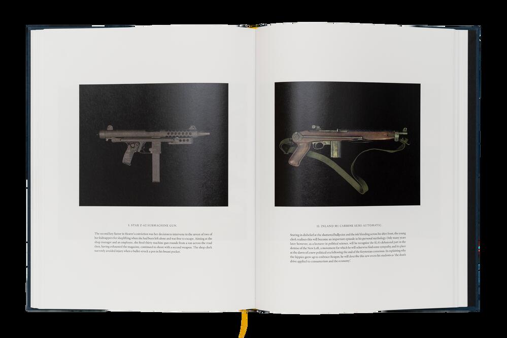 Image from page “Ecology of Dreams”
