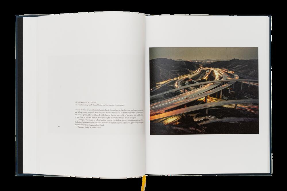 Image from page “Ecology of Dreams”