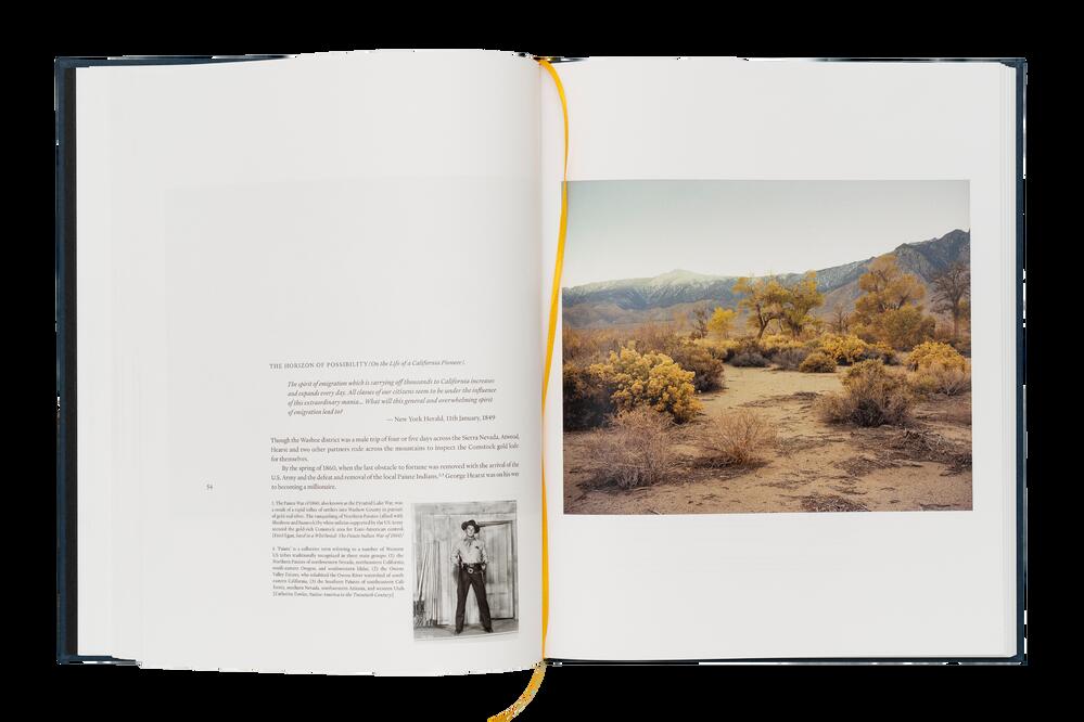 Image from page “Ecology of Dreams”