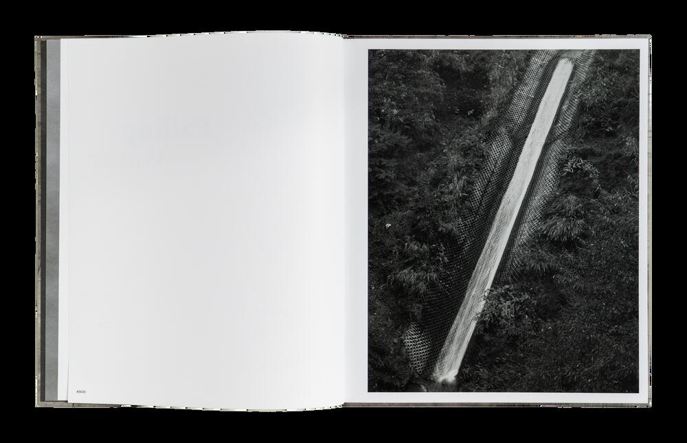 Image from page “Falling Water”
