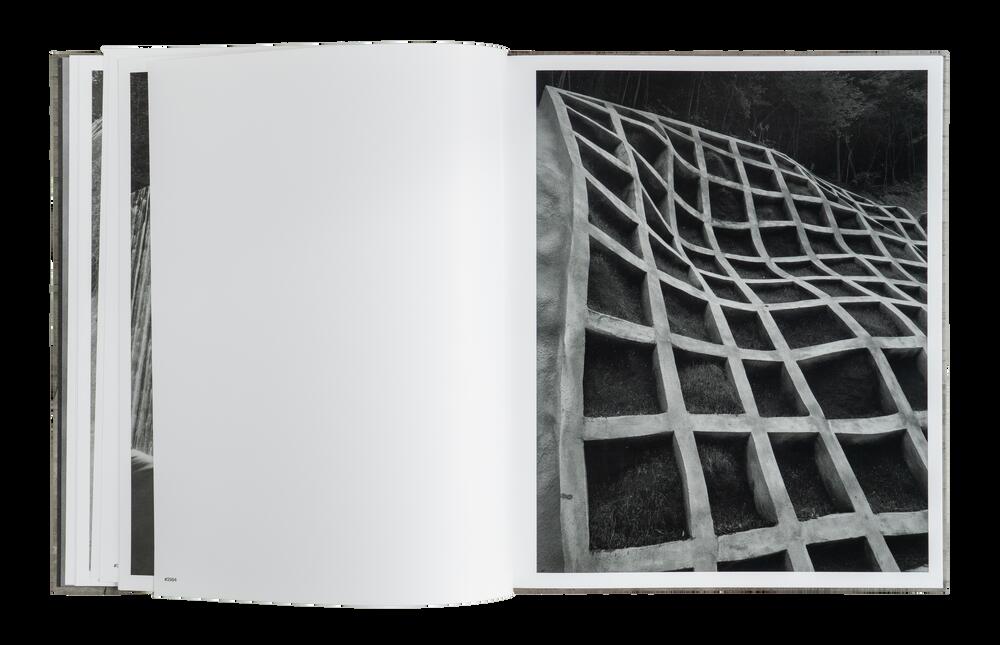 Image from page “Falling Water”