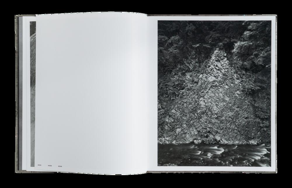 Image from page “Falling Water”