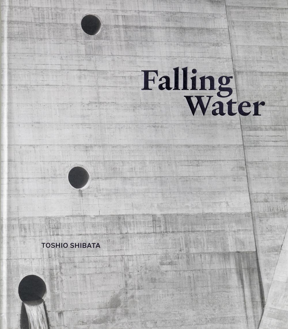 Image from page “Falling Water”