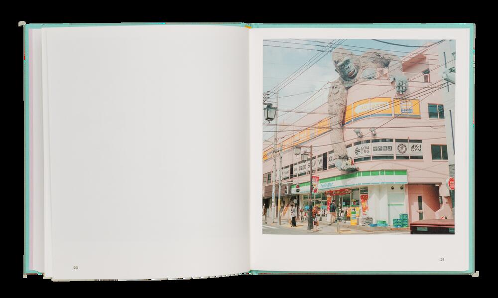 Image from page “HappySad Souvenirs”