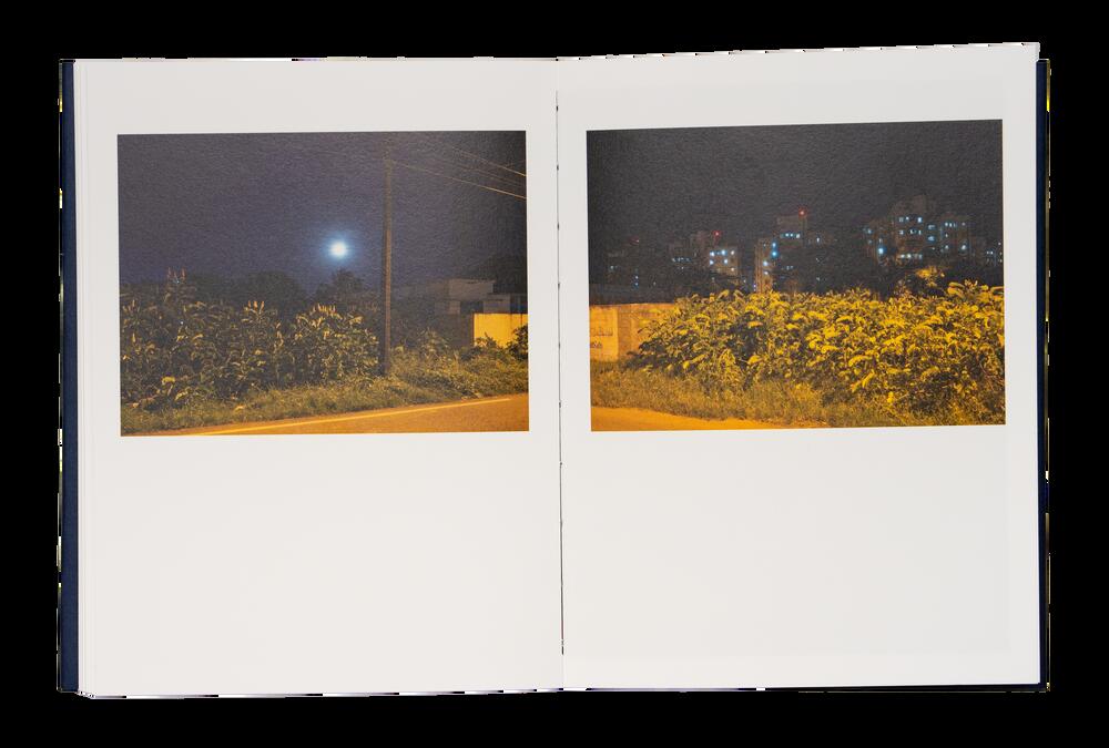 Image from page “Kochi Nights”