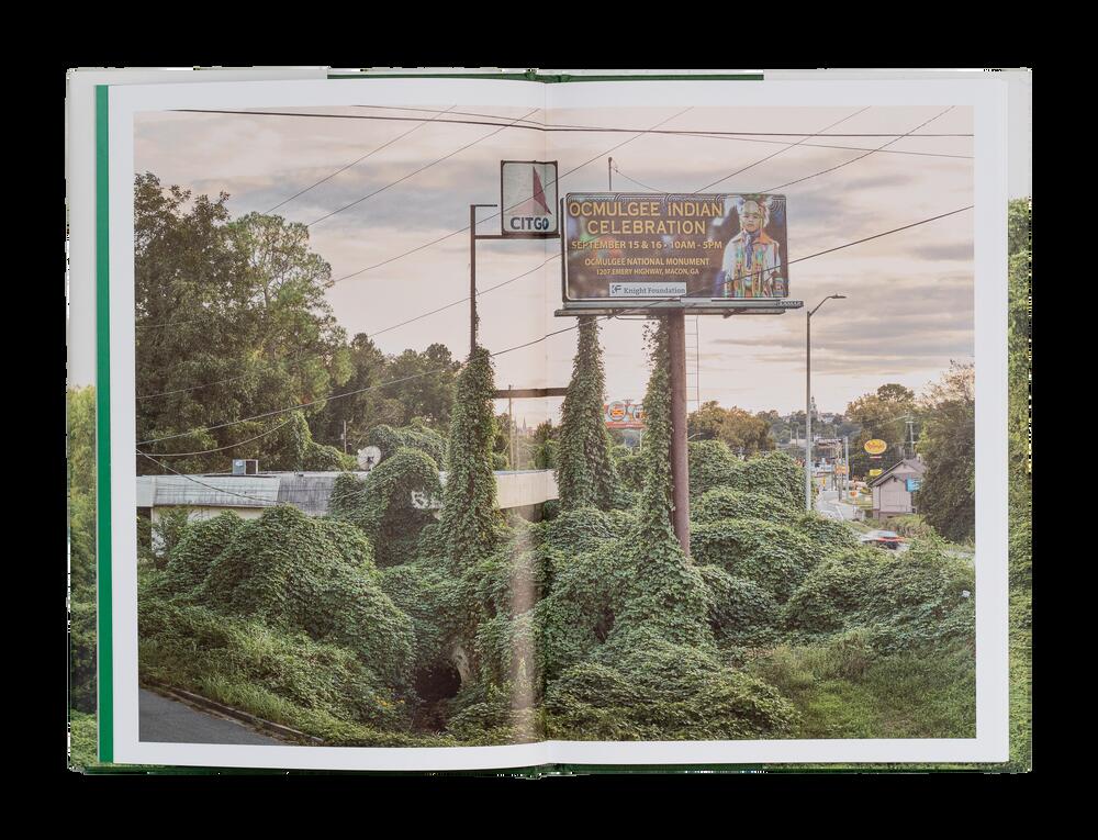Image from page “Kudzu”