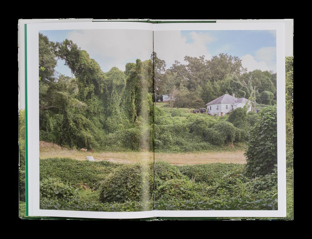 Image from page “Kudzu”