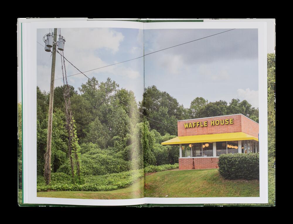 Image from page “Kudzu”