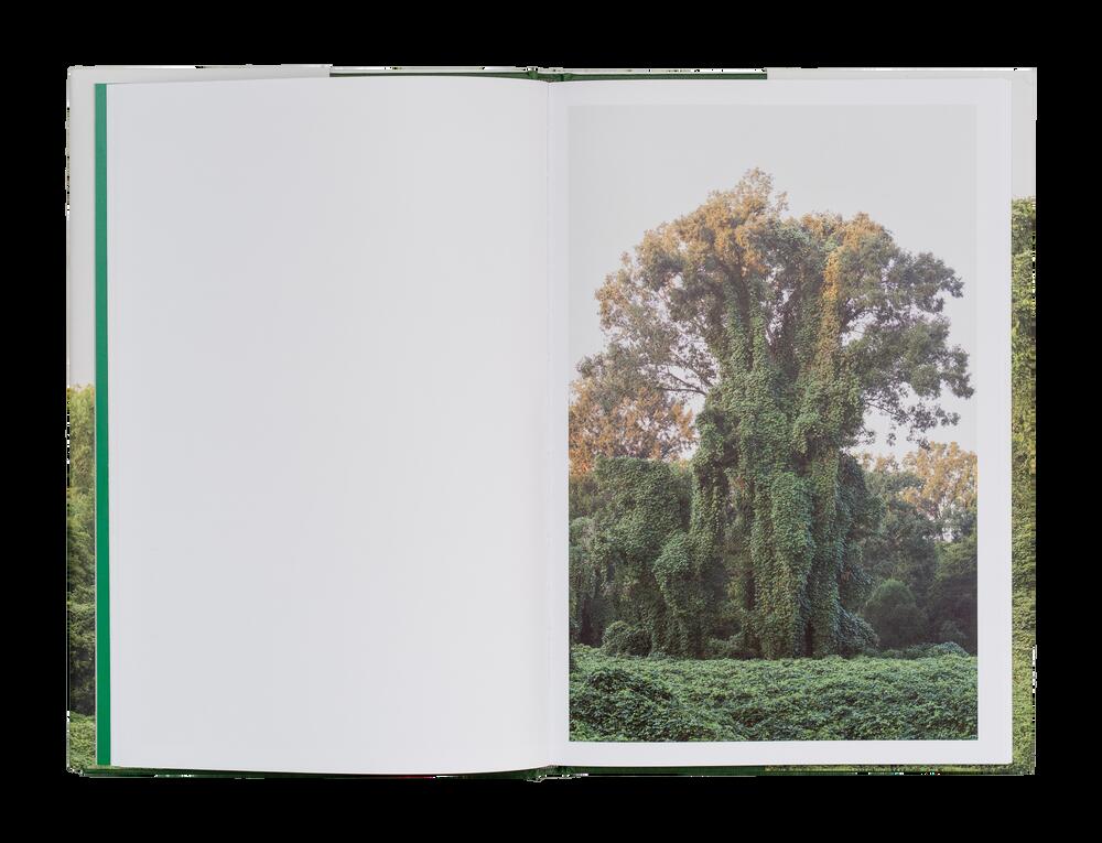 Image from page “Kudzu”
