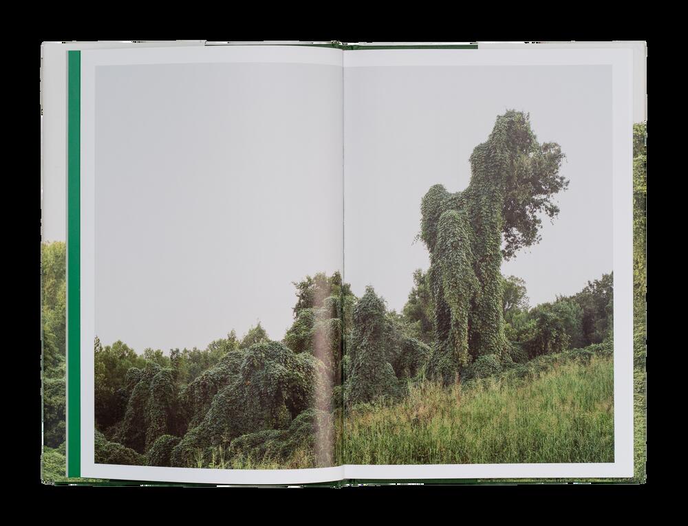 Image from page “Kudzu”