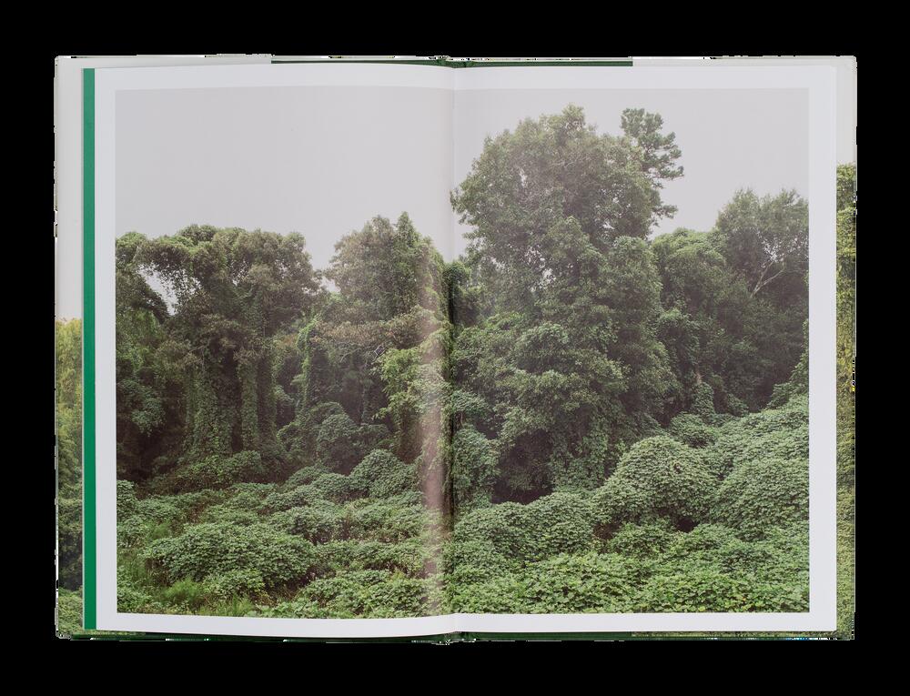 Image from page “Kudzu”