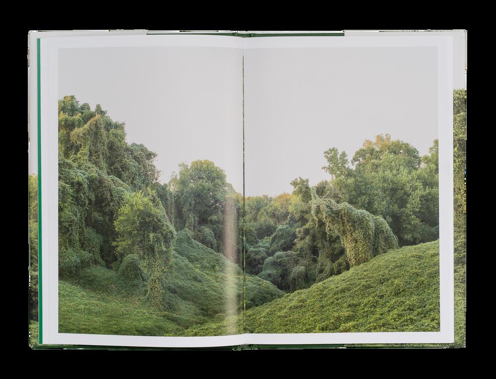 Image from page “Kudzu”