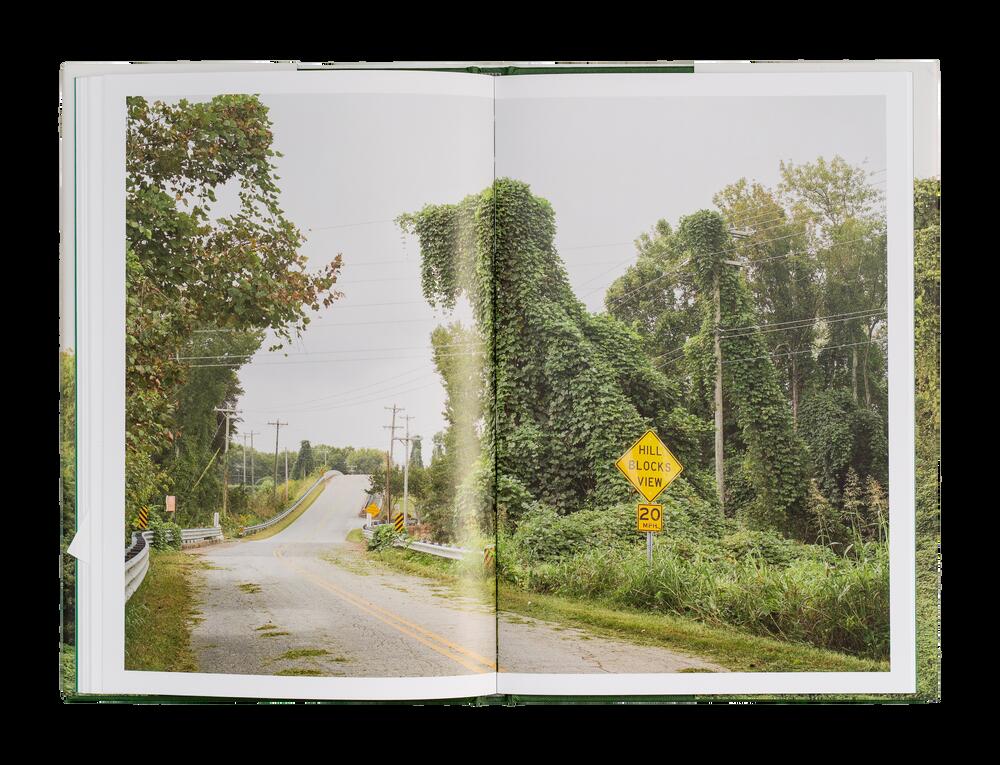Image from page “Kudzu”