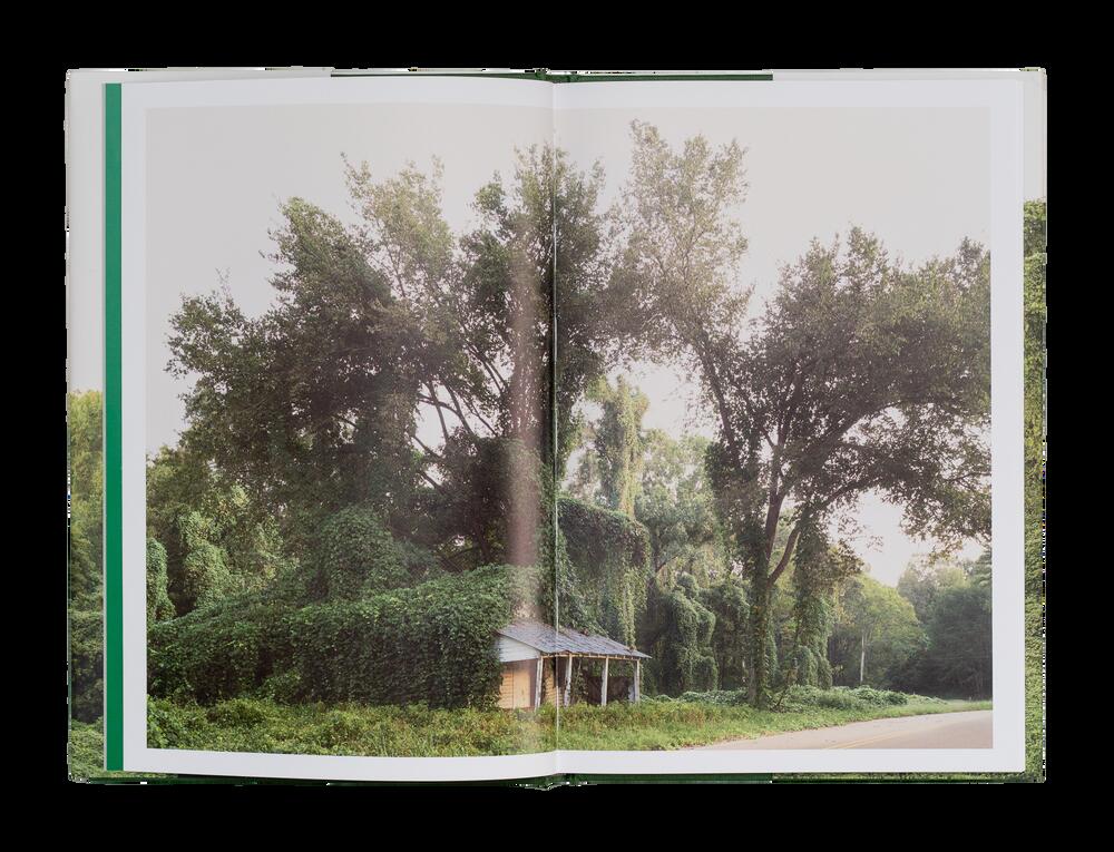 Image from page “Kudzu”