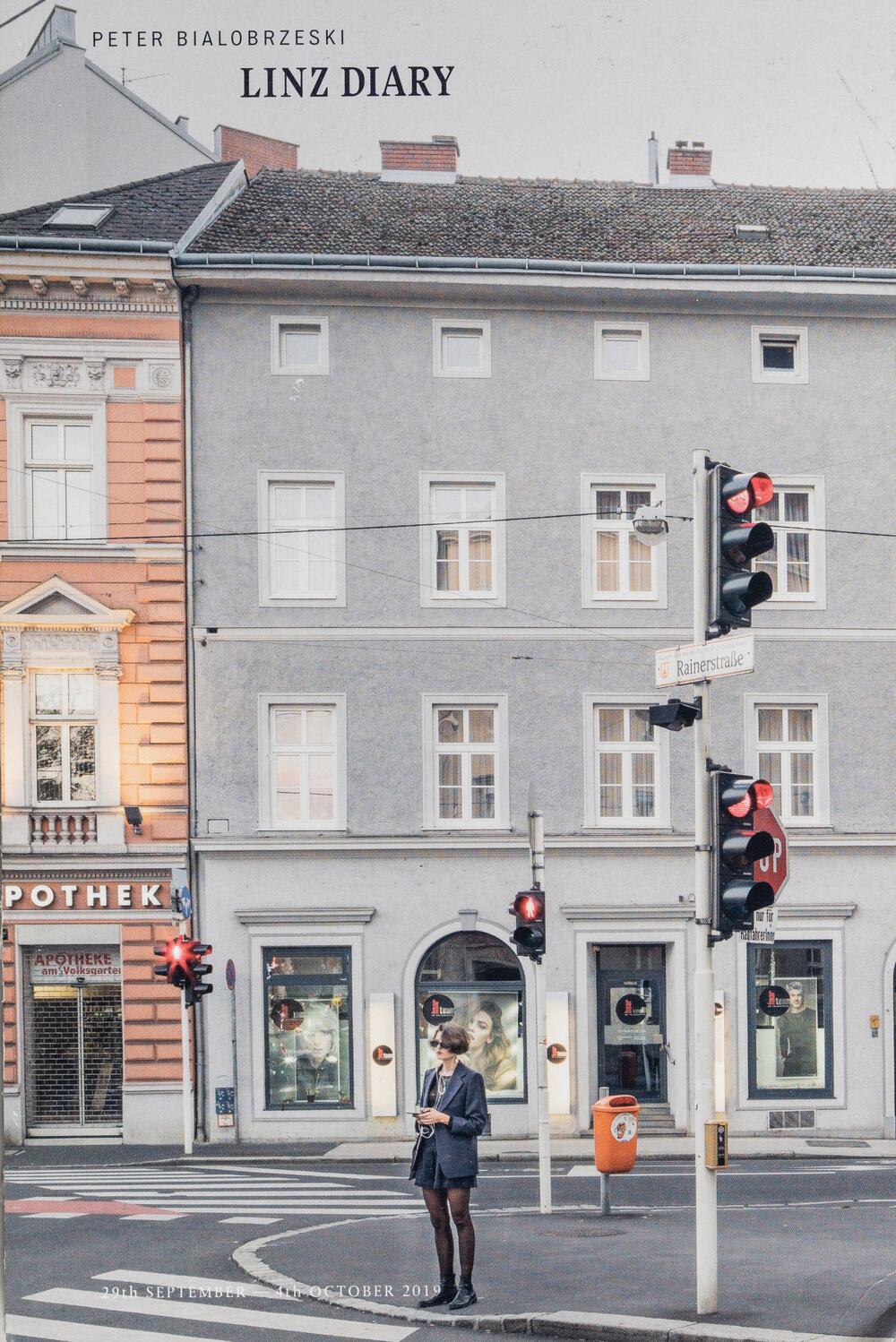 Image from page “Linz Diary”
