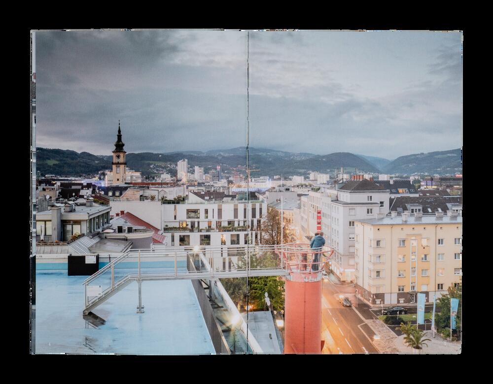 Image from page “Linz Diary”