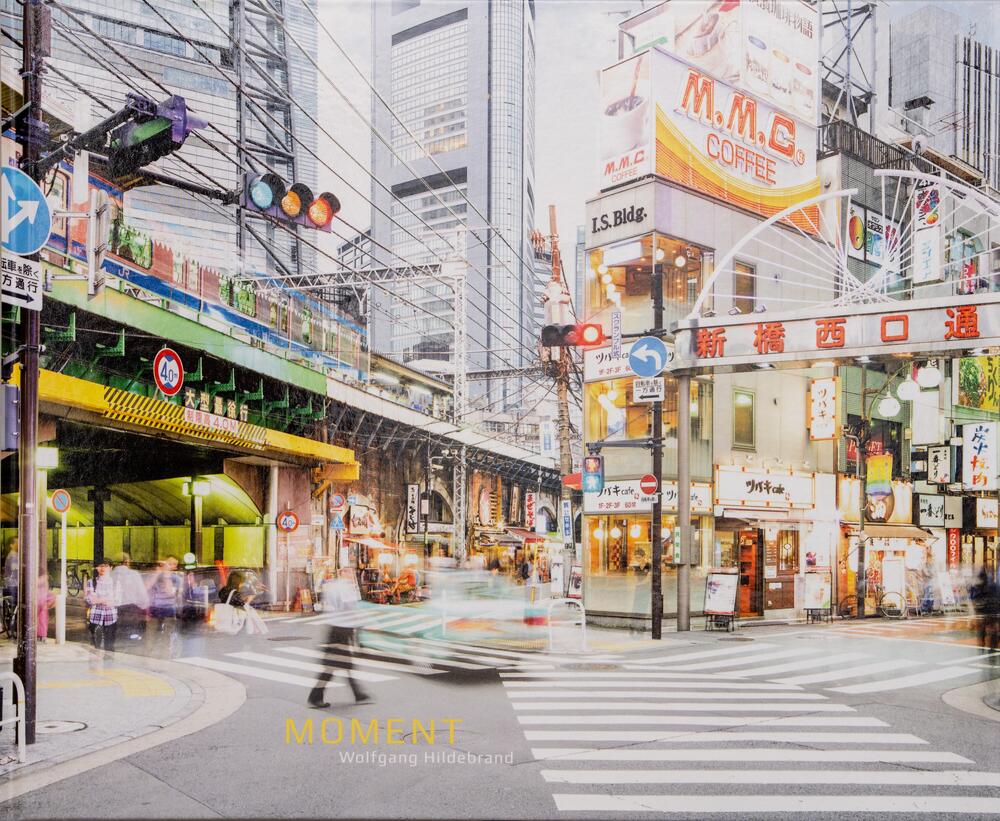 Image from page “Moment”
