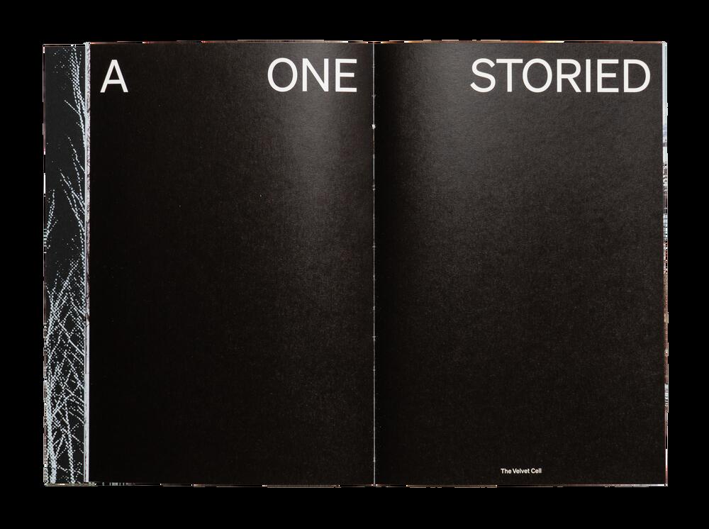 Image from page “One Storied Country”