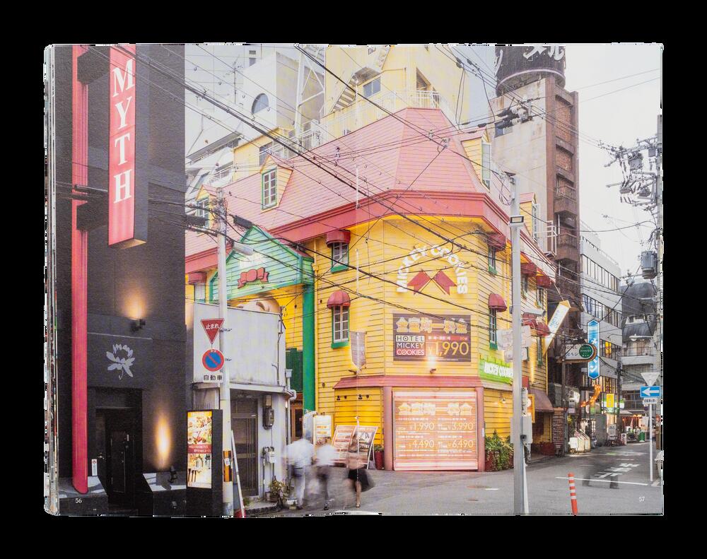 Image from page “Osaka Diary”
