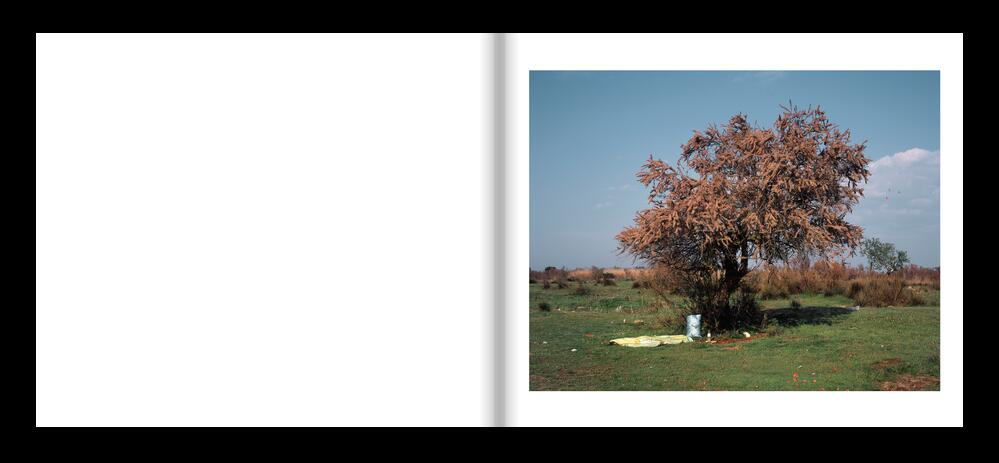 Image from page “Sunny Days A True Story [Funding Campaign]”