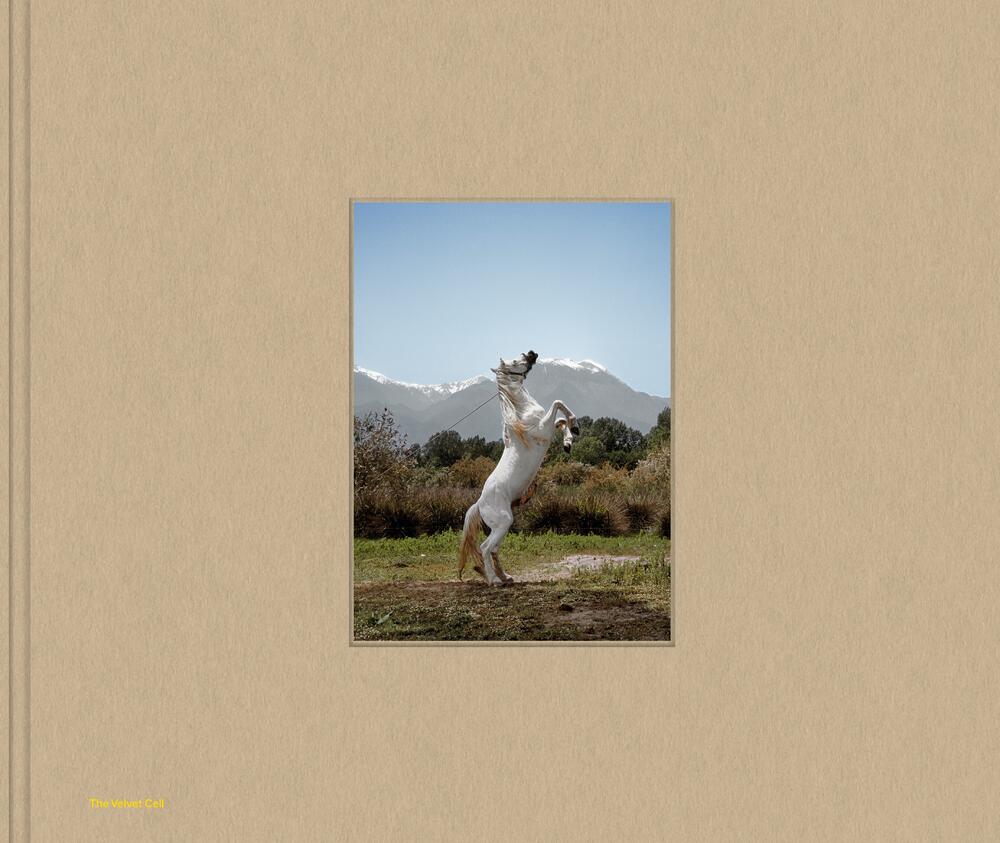 Image from page “Sunny Days A True Story [Funding Campaign]”