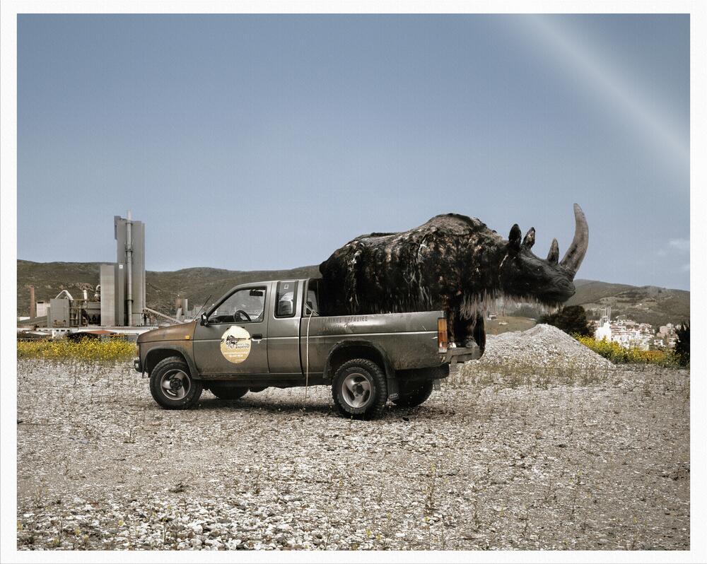 Image from page “Sunny Days A True Story [Funding Campaign]”
