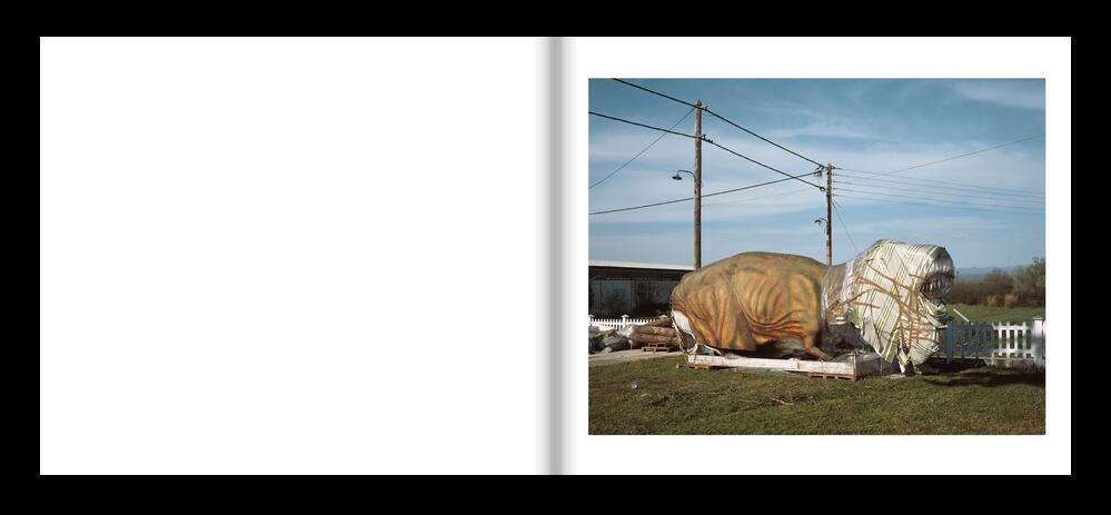 Image from page “Sunny Days A True Story [Funding Campaign]”