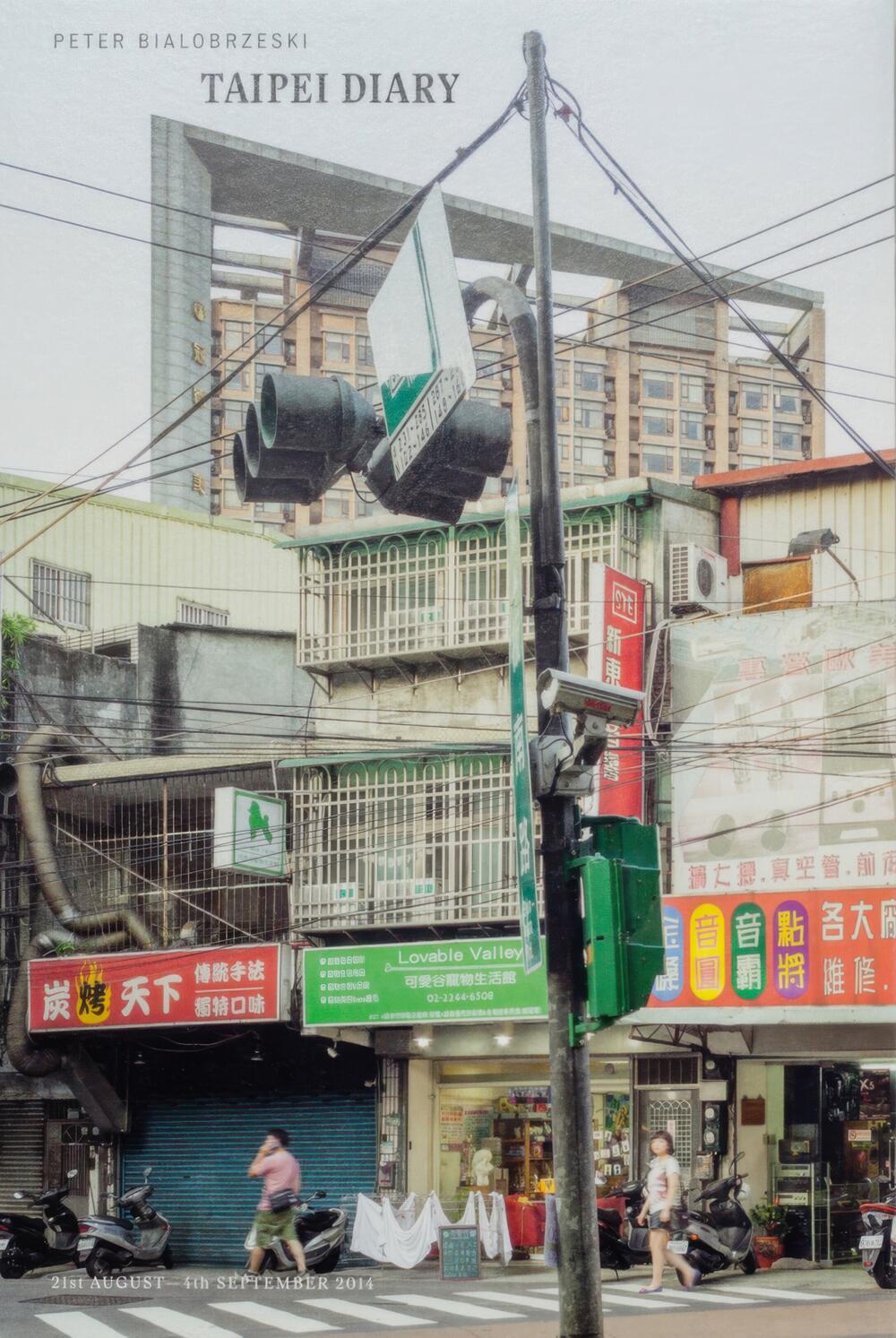 Image from page “Taipei Diary”