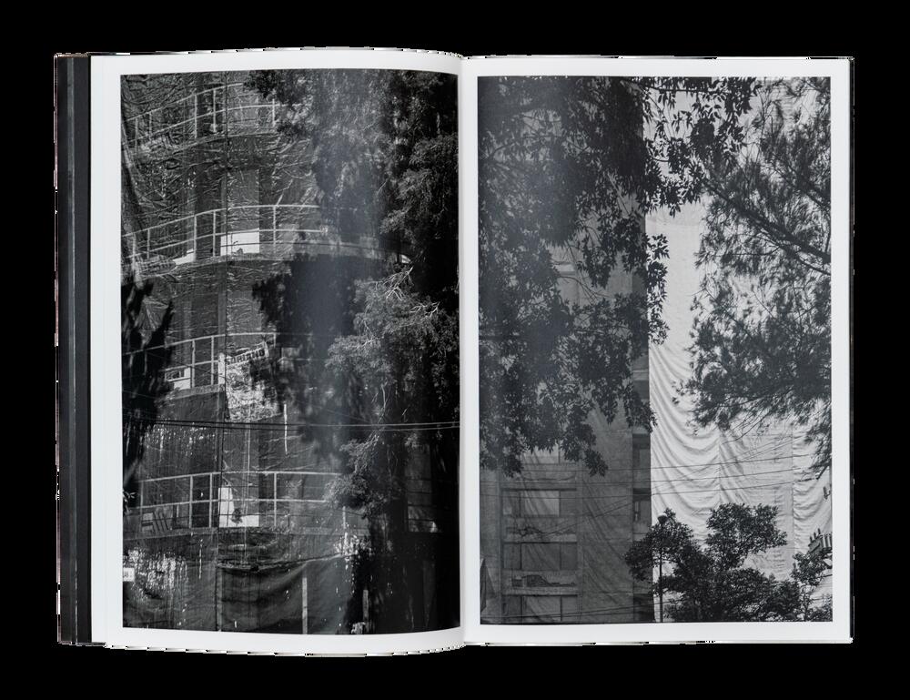 Image from page “Undercover”