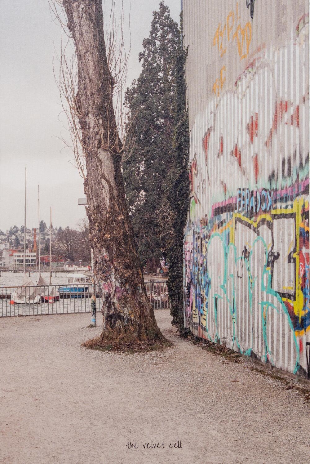 Image from page “Zurich Diary”