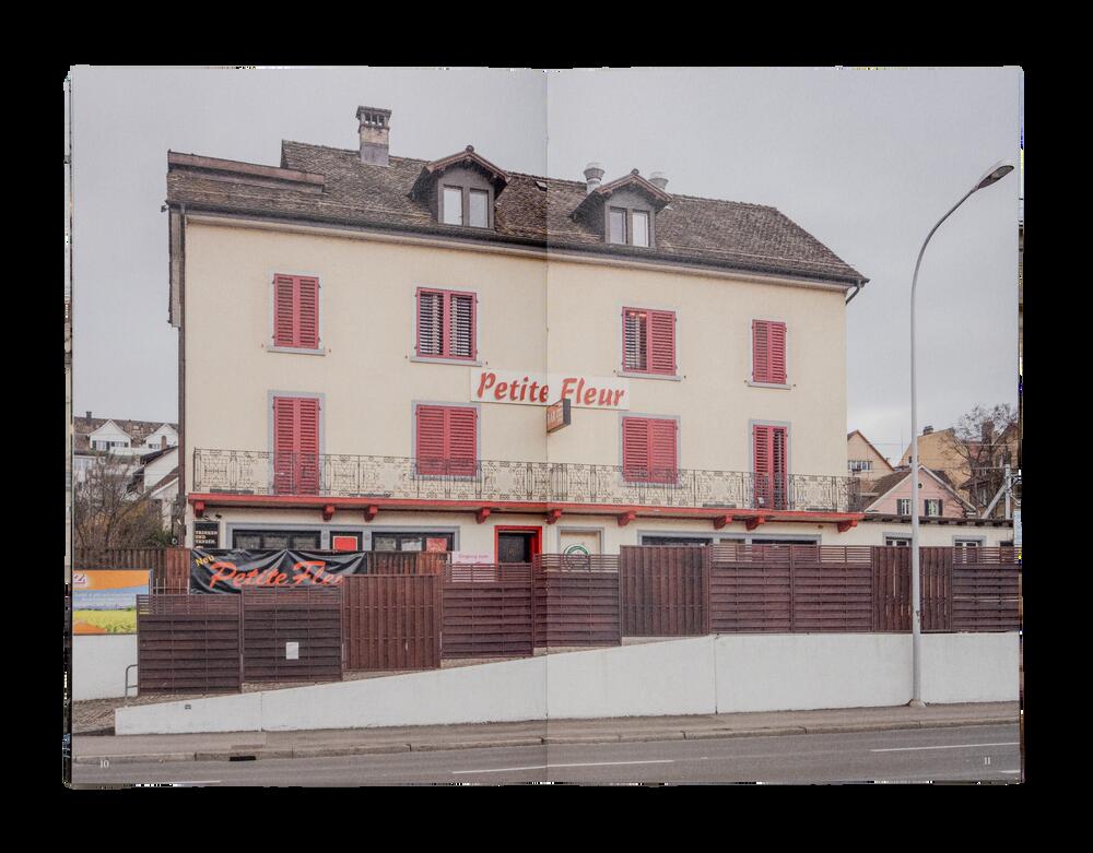 Image from page “Zurich Diary”