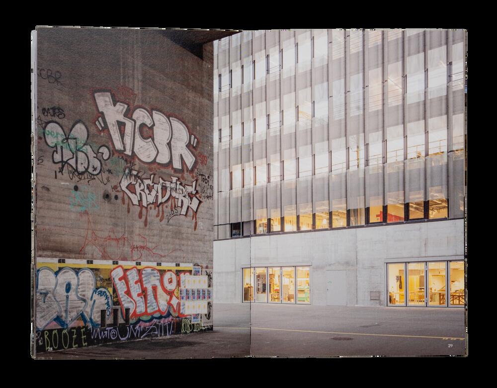 Image from page “Zurich Diary”