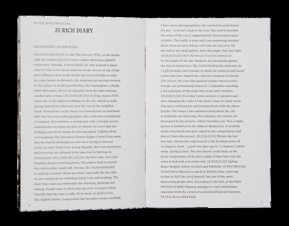 Image from page “Zurich Diary”