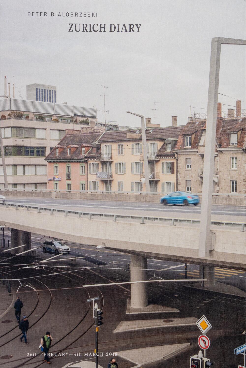 Image from page “Zurich Diary”